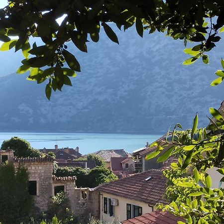Apartments Montenegro Risan Cuckovic Ngoại thất bức ảnh
